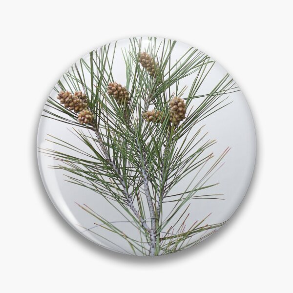 Item preview, Pine cones. designed and sold by Paul Pasco.