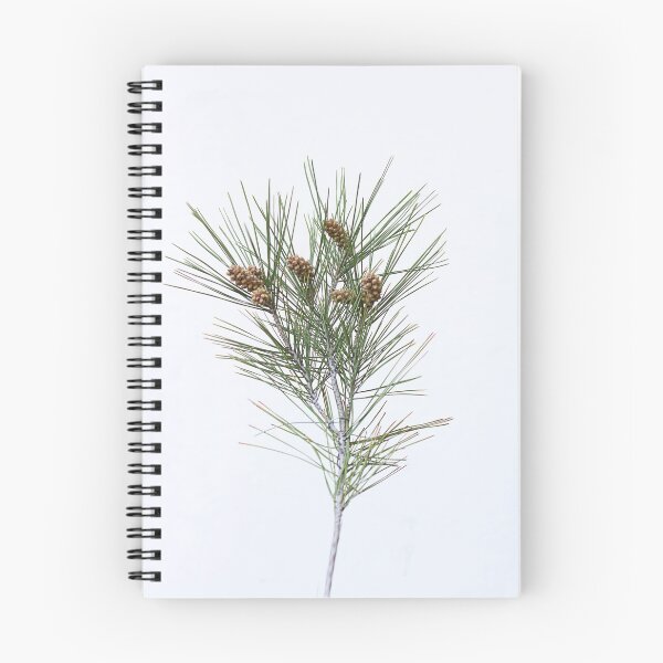 Item preview, Pine cones. designed and sold by Paul Pasco.