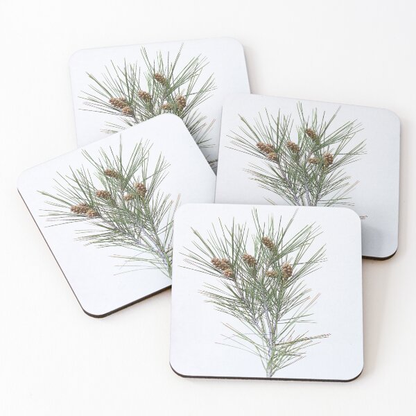 Item preview, Pine cones. designed and sold by Paul Pasco.