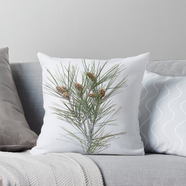 Item preview, Pine cones. designed and sold by Paul Pasco.