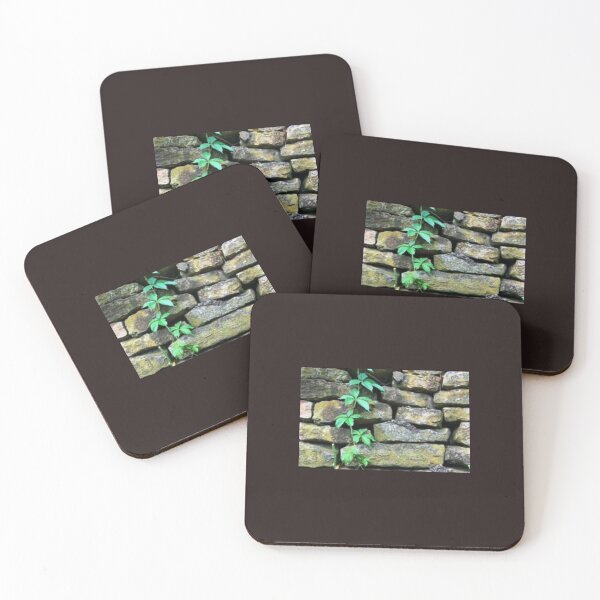 Item preview, Vines designed and sold by MagentaStash.