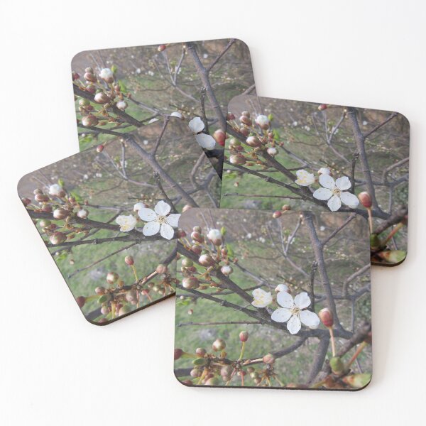 Item preview, Early blossom. designed and sold by joshuarainbird.