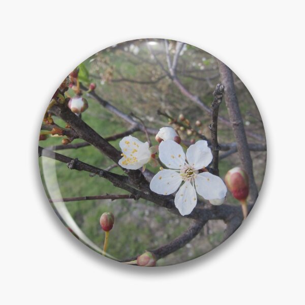 Item preview, Early blossom. designed and sold by joshuarainbird.