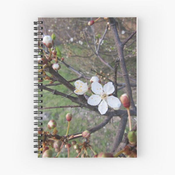 Item preview, Early blossom. designed and sold by joshuarainbird.