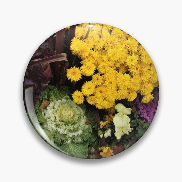 Item preview, Cabbage Container designed and sold by CJGrimes.