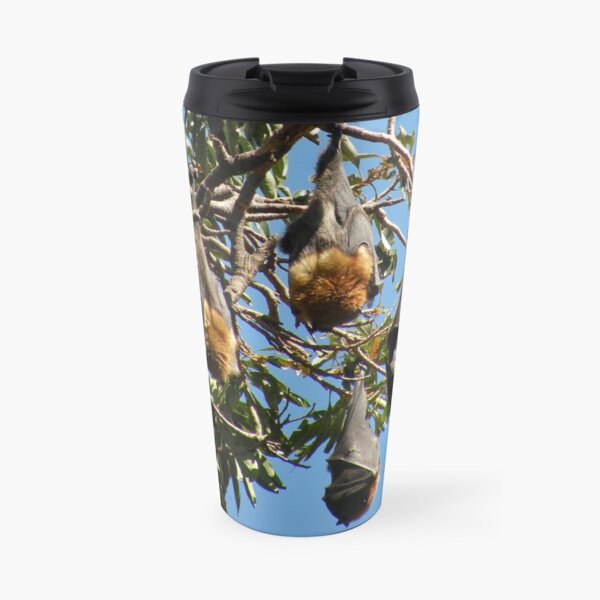 Grey-headed Flying-fox Travel Mug