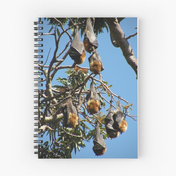 Item preview, Grey-headed Flying-fox designed and sold by Trish Meyer.