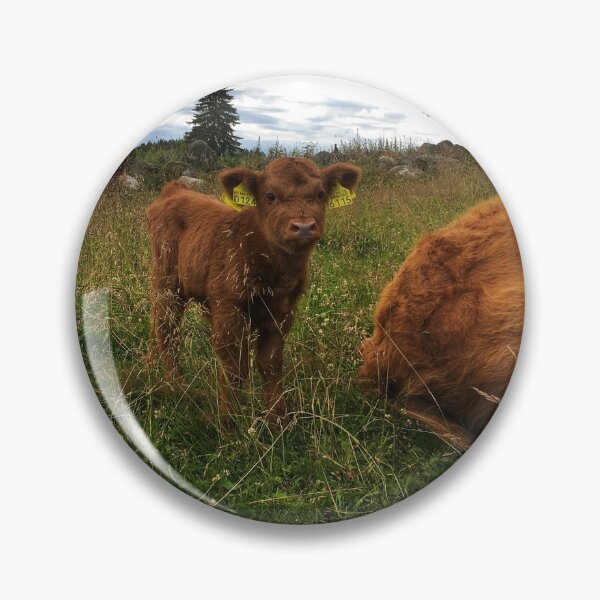 Artikelvorschau, Scottish Highland Cattle Calf 2443 entworfen und verkauft von SaarelaHighland.