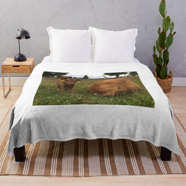 Item preview, Scottish Highland Cattle Calf 2444 designed and sold by SaarelaHighland.