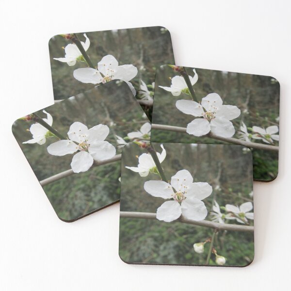 Item preview, Hawthorn blossom. designed and sold by joshuarainbird.