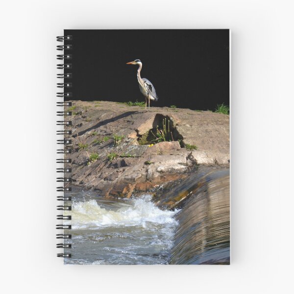 Item preview, Heron at the Weir designed and sold by mikebov.