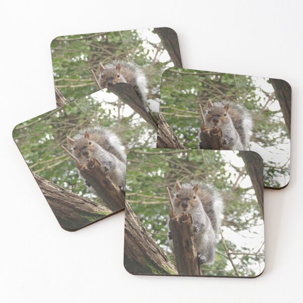 Item preview, Mr. Nuts emerges from his winter slumber. designed and sold by joshuarainbird.