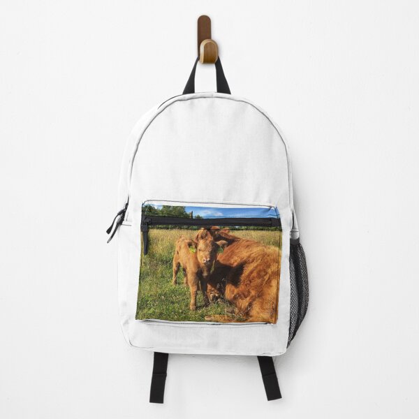 Item preview, Scottish Highland Cattle Calf 2451 designed and sold by SaarelaHighland.