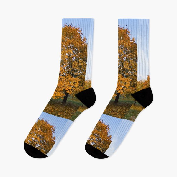 Item preview, Autumn trees designed and sold by Parafull.