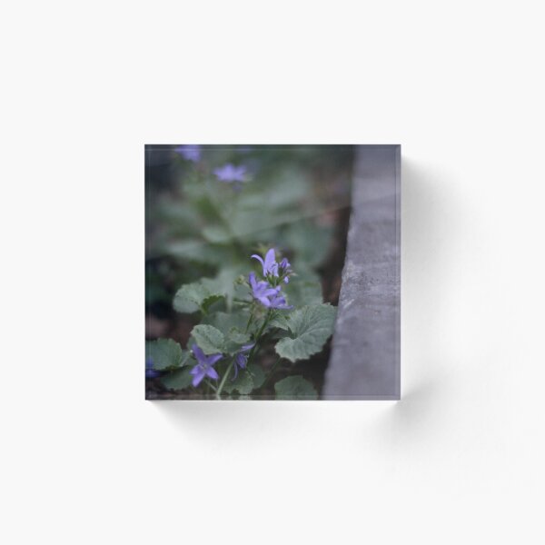 Violet Moonlight Acrylic Block
