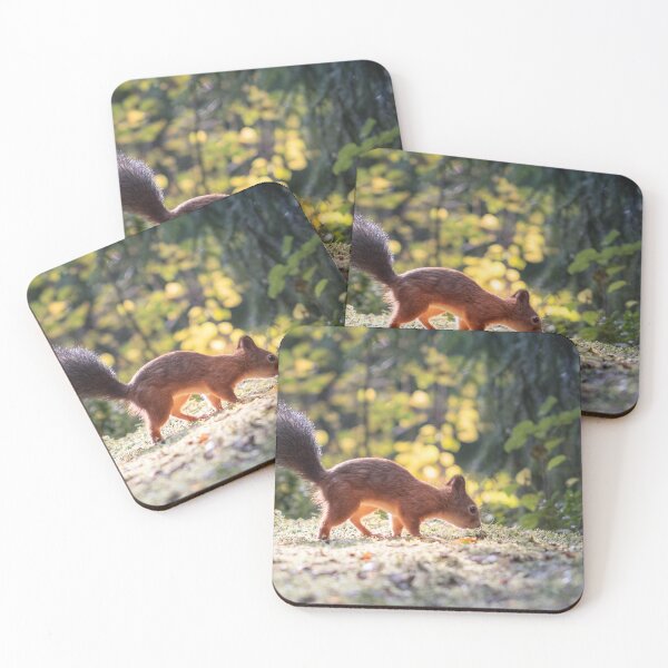 Item preview, Ardilla entrometida en el bosque. designed and sold by Advforester.