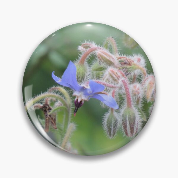 Item preview, Blue borage flower designed and sold by greentiger1.