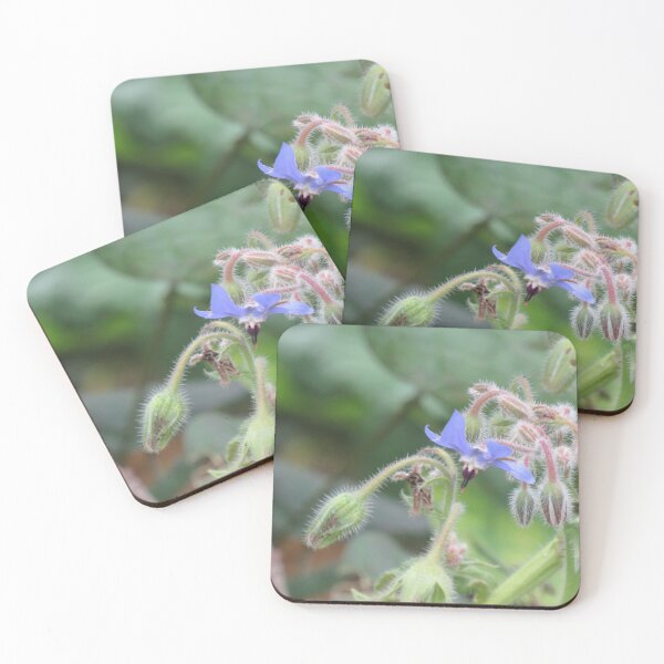 Item preview, Blue borage flower designed and sold by greentiger1.