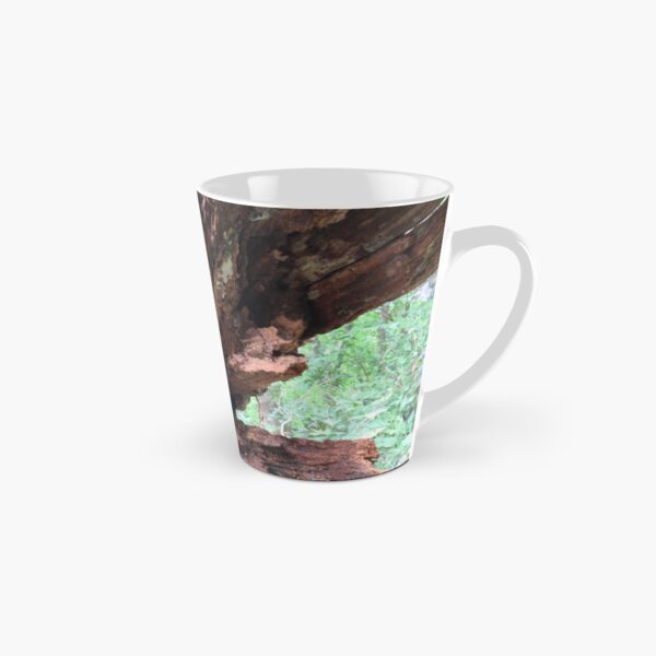 decaying fallen tree Tall Mug