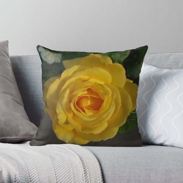 Yellow Rose in the Setting Sun Throw Pillow