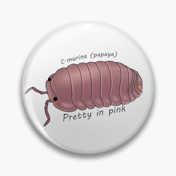 Item preview, C.murina papaya pretty in pink designed and sold by Binkykun.