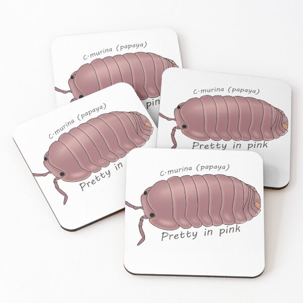 Item preview, C.murina papaya pretty in pink designed and sold by Binkykun.