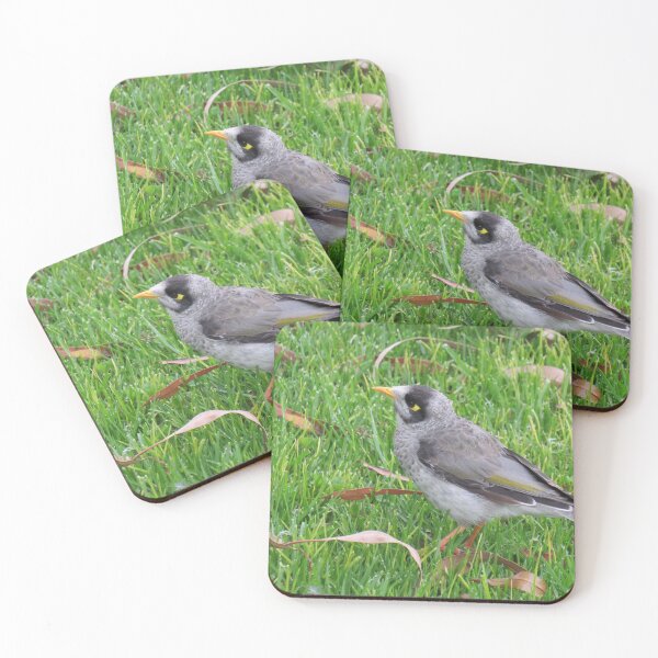 Item preview, Noisy miner designed and sold by greentiger1.