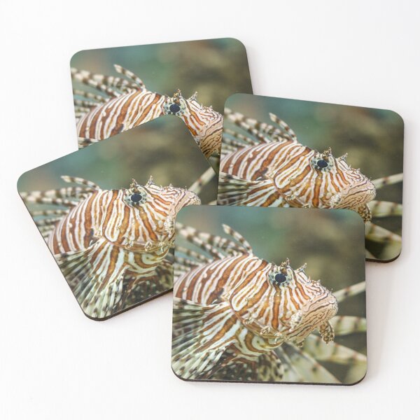 Item preview, Exotic fish designed and sold by Roberd Palm.