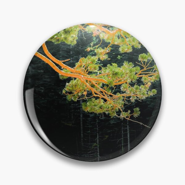 Item preview, closeup green pine tree in the wood at Lake Tahoe, USA designed and sold by Mrvell.