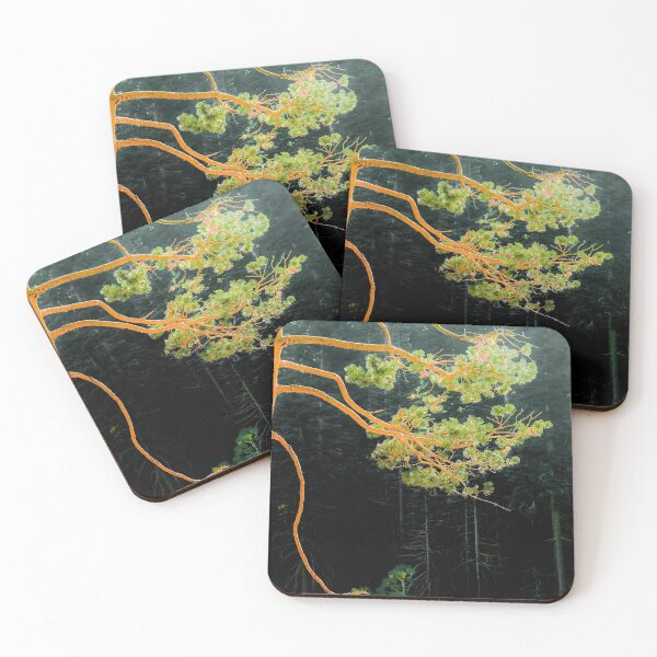 Item preview, closeup green pine tree in the wood at Lake Tahoe, USA designed and sold by Mrvell.