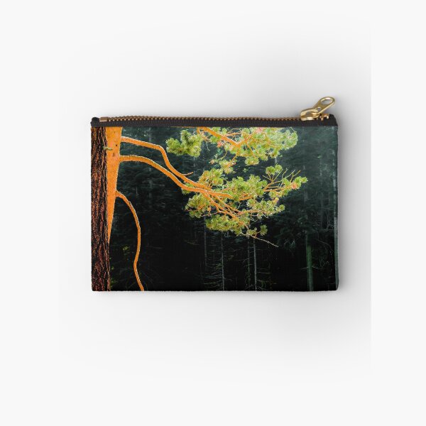 Item preview, closeup green pine tree in the wood at Lake Tahoe, USA designed and sold by Mrvell.
