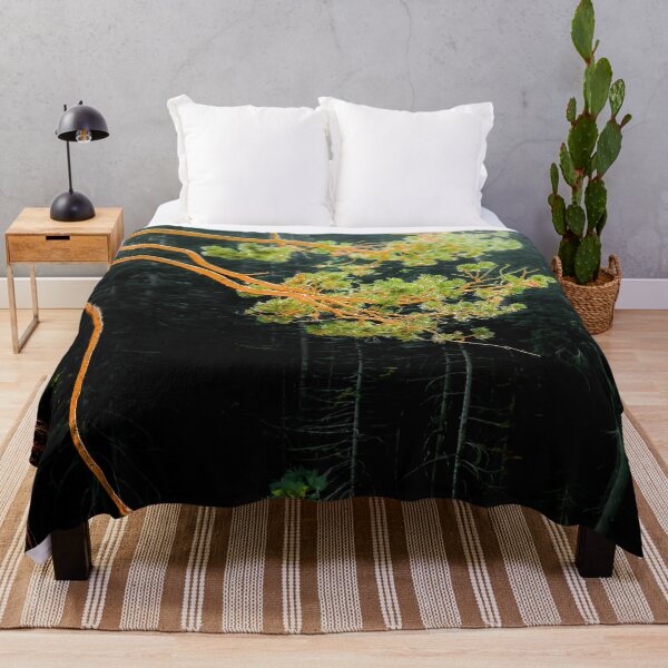 Item preview, closeup green pine tree in the wood at Lake Tahoe, USA designed and sold by Mrvell.