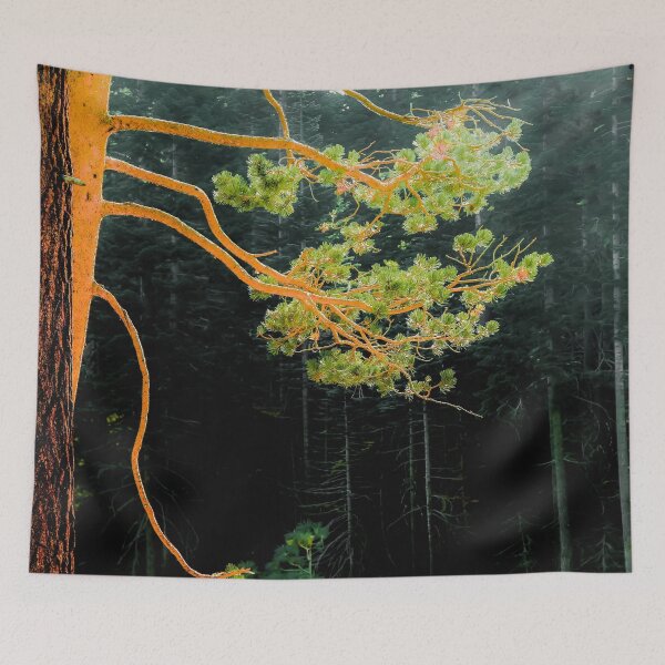 Item preview, closeup green pine tree in the wood at Lake Tahoe, USA designed and sold by Mrvell.