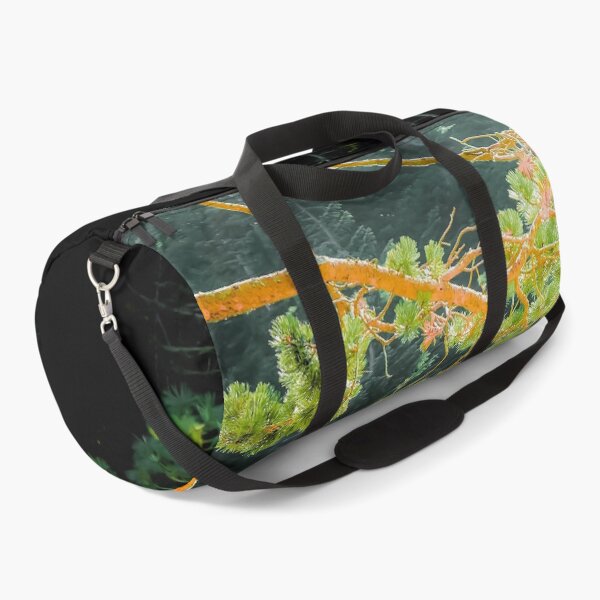Item preview, closeup green pine tree in the wood at Lake Tahoe, USA designed and sold by Mrvell.