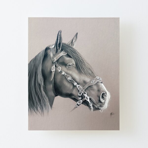 Cheval noir Impression montée sur toile