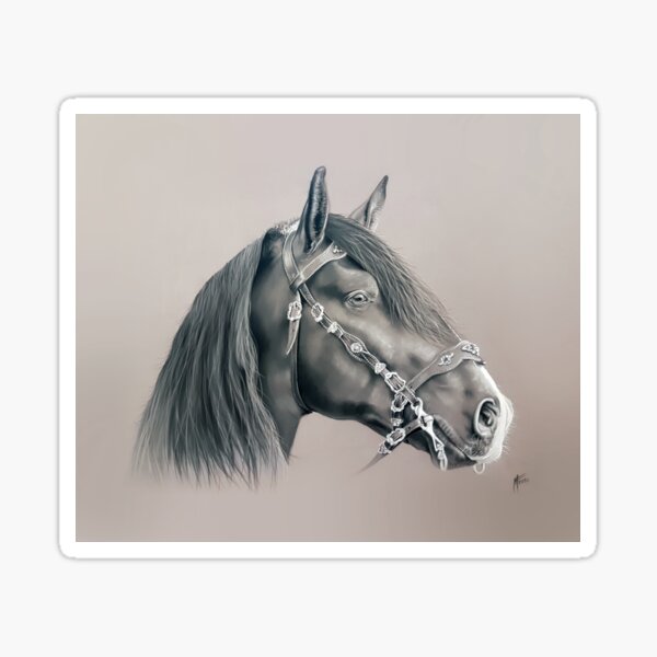 Cheval noir Sticker