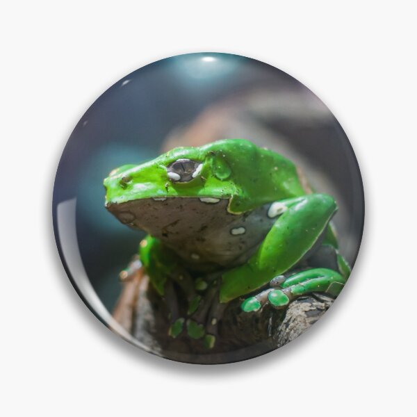 Item preview, Mr toad designed and sold by Roberd Palm.
