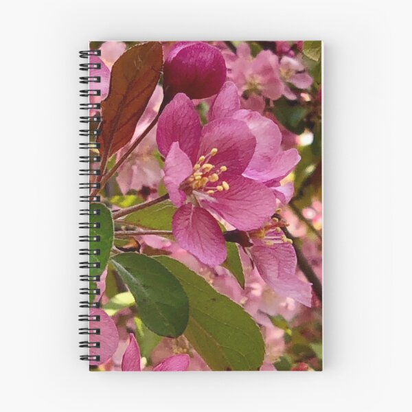 Item preview, Apple Blossom designed and sold by JennBBDesigns.
