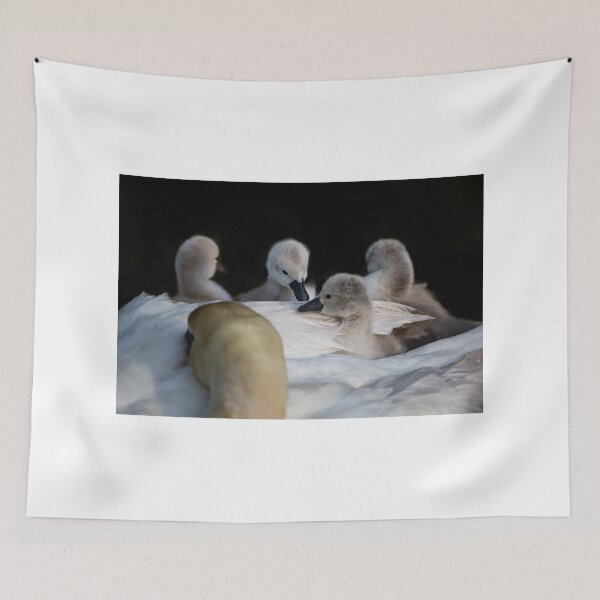 Item preview, Swan and Cygnet designed and sold by swissflake.