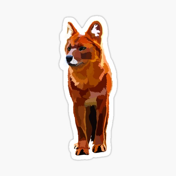 Aperçu de l'œuvre D est pour Dhole créée et vendue par thezoogirl.