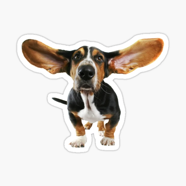 Dog with Big Ears Sticker for Sale by NathanCLife