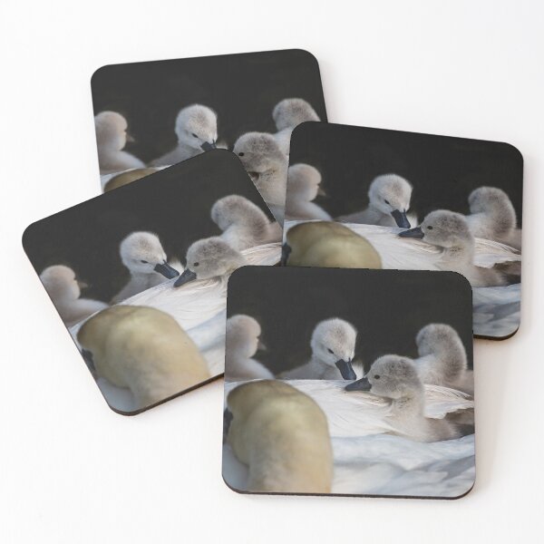 Item preview, Swan and Cygnet designed and sold by swissflake.
