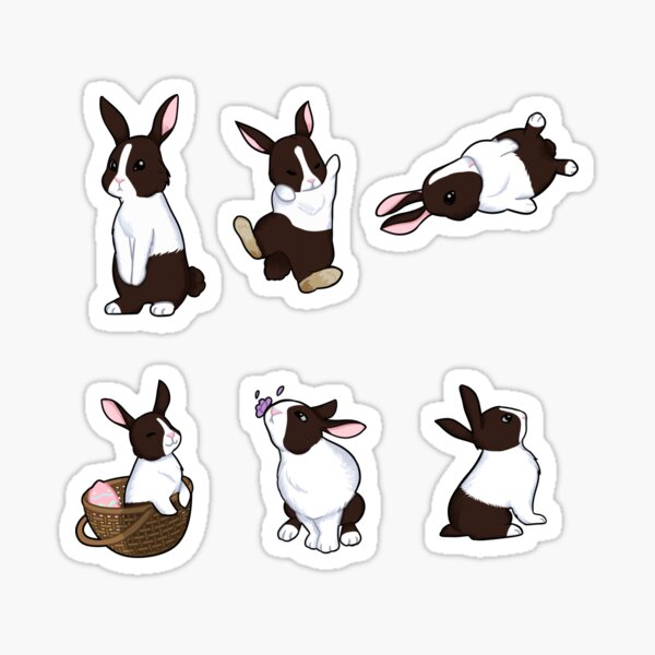 Cute Dutch Brown and White Bunnies Pack Sticker
