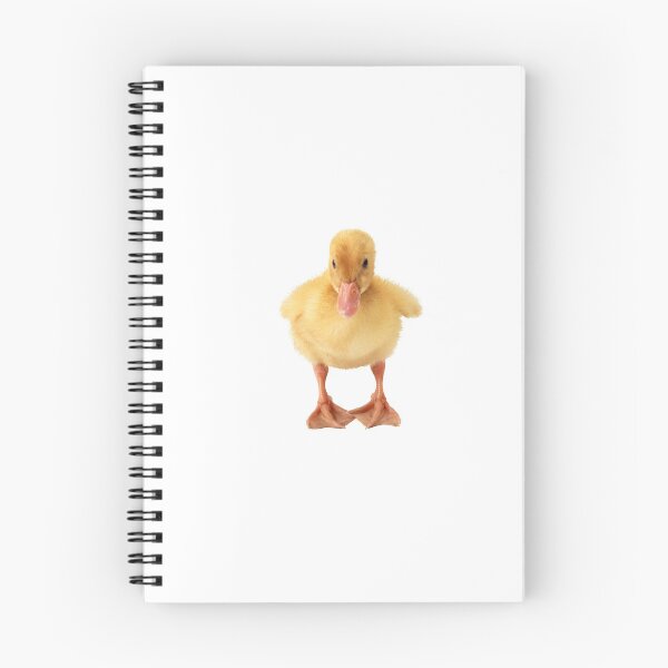 Item preview, Duckling designed and sold by NathanCLife.