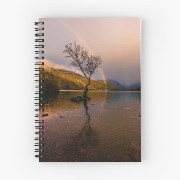 Item preview, Rainbow over the famous tree at Padarn Lake  designed and sold by LluniauDafyddEm.