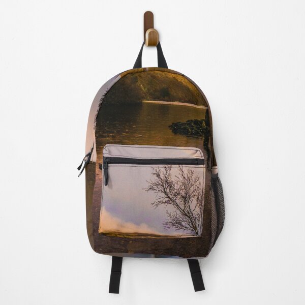 Item preview, Rainbow over the famous tree at Padarn Lake designed and sold by LluniauDafyddEm.