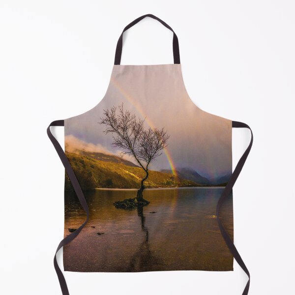Item preview, Rainbow over the famous tree at Padarn Lake designed and sold by LluniauDafyddEm.