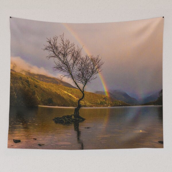 Item preview, Rainbow over the famous tree at Padarn Lake  designed and sold by LluniauDafyddEm.