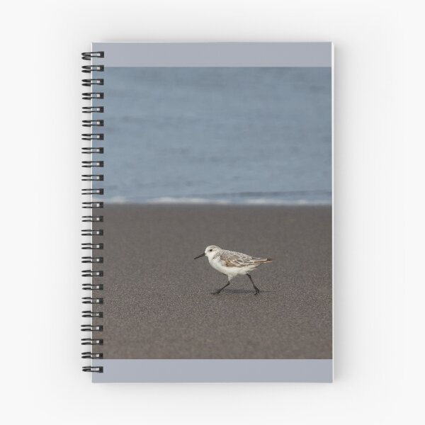 Item preview, Sanderling walking in sand, at the Atlantic Ocean. designed and sold by AylaHarbich.