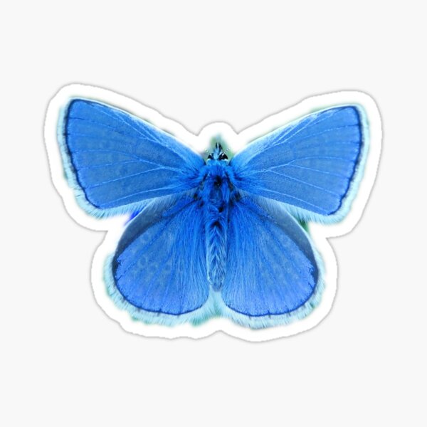 Blue Butterfly Sticker For Sale By Butterflyzz Redbubble 5835